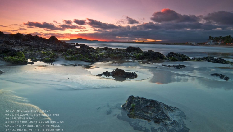 언론 속의 우리-03