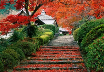 언론 속의 우리-04