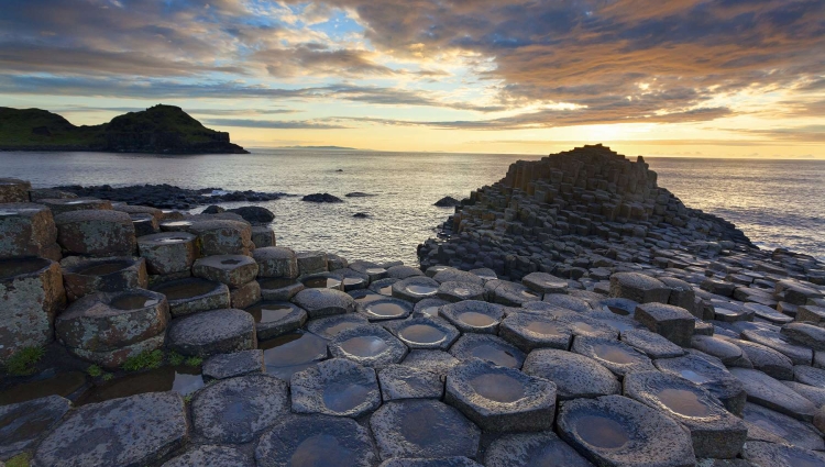 언론 속의 우리-05