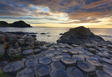 언론 속의 우리-05