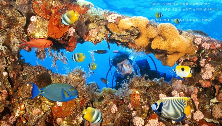 언론 속의 우리-13