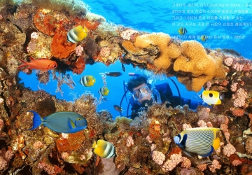 언론 속의 우리-13